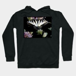 Swallowtail Butterfly Hoodie